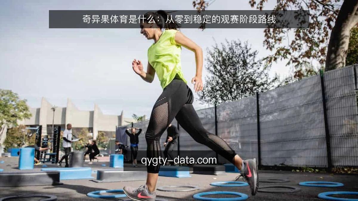 奇异果体育是什么:从零到稳定的观赛阶段路线